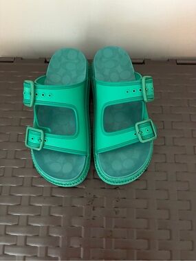 Coach Women's Double-Buckle Slide Sandals - Teal Green